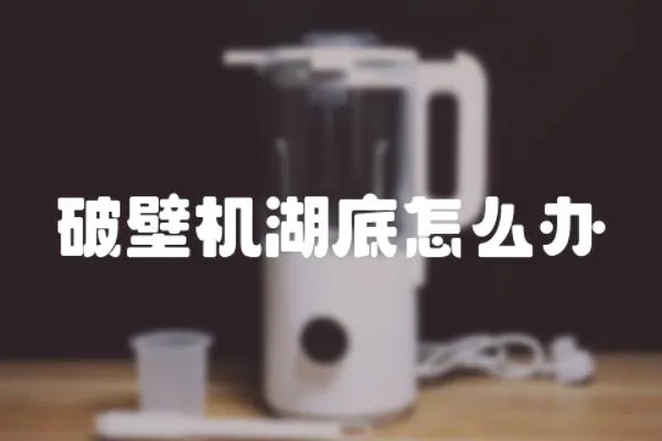 破壁機(jī)湖底怎么辦