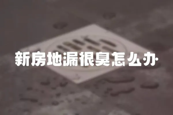新房地漏很臭怎么辦