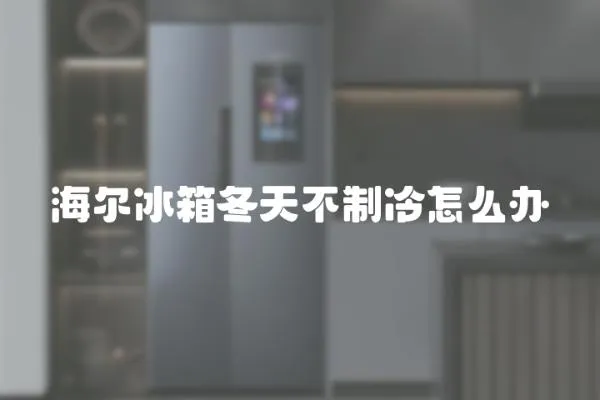 海爾冰箱冬天不制冷怎么辦