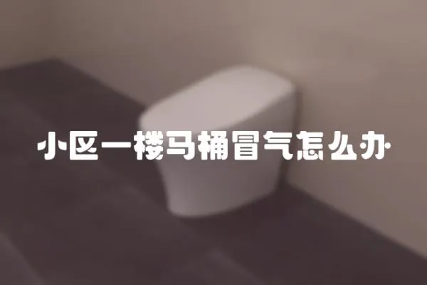 小區一樓馬桶冒氣怎么辦