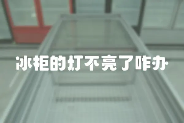 冰柜的燈不亮了咋辦
