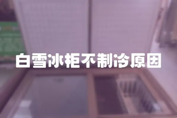 白雪冰柜不制冷原因