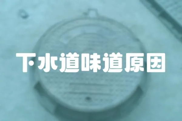 下水道味道原因