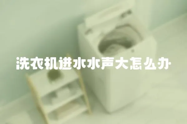 洗衣機進水水聲大怎么辦