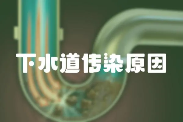 下水道傳染原因