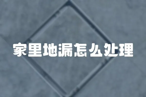 家里地漏怎么處理