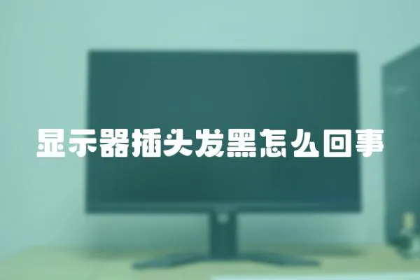 顯示器插頭發(fā)黑怎么回事