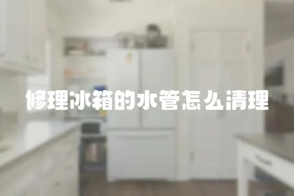 修理冰箱的水管怎么清理