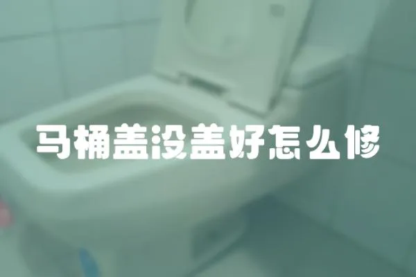 馬桶蓋沒蓋好怎么修