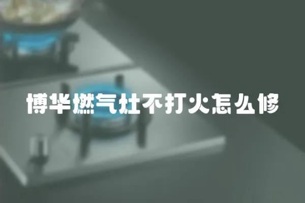 博华燃气灶不打火怎么修