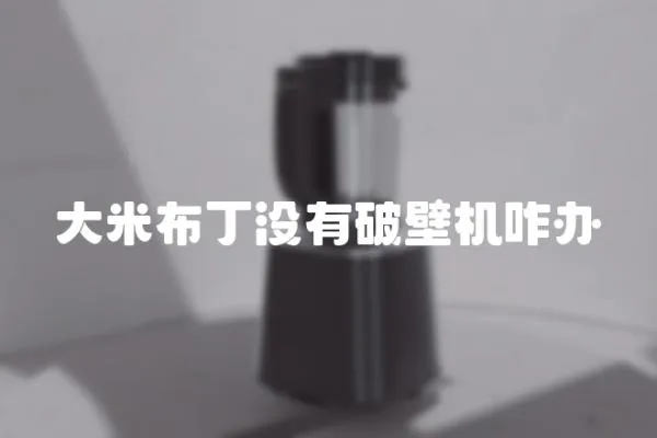 大米布丁沒有破壁機咋辦