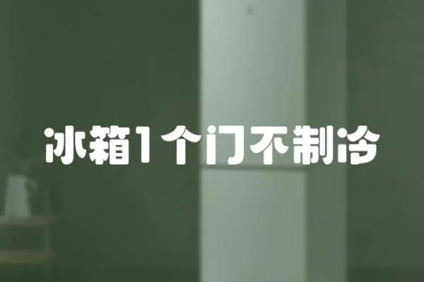 冰箱1個(gè)門不制冷