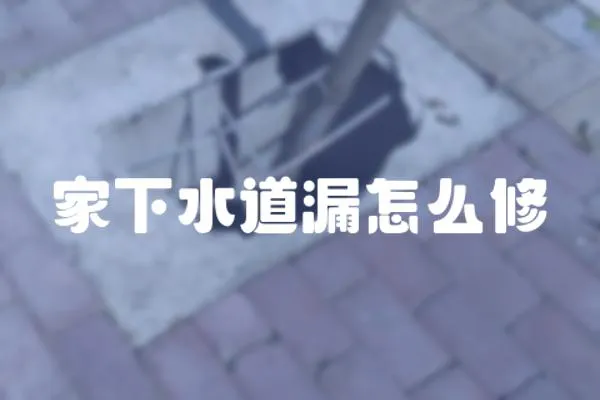 家下水道漏怎么修