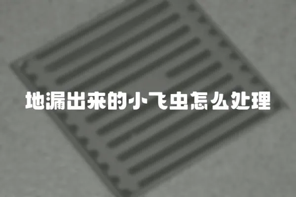 地漏出來的小飛蟲怎么處理