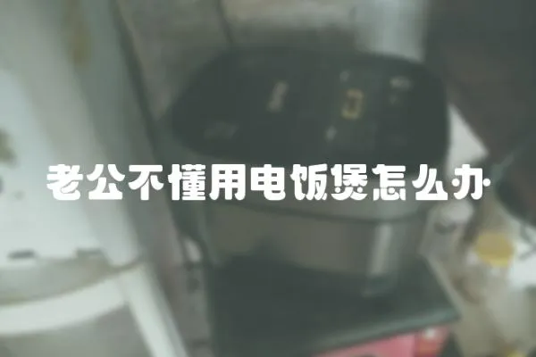 老公不懂用電飯煲怎么辦