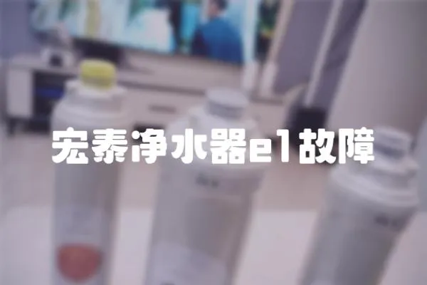 宏泰凈水器e1故障