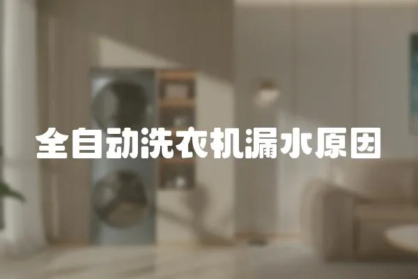 全自動洗衣機漏水原因