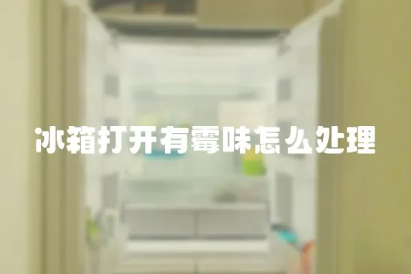 冰箱打開有霉味怎么處理