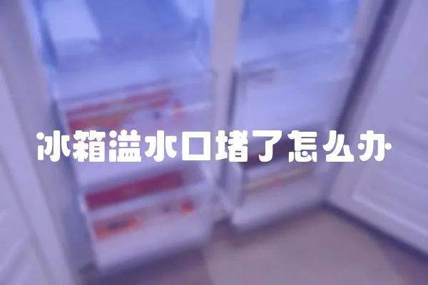 冰箱溢水口堵了怎么辦