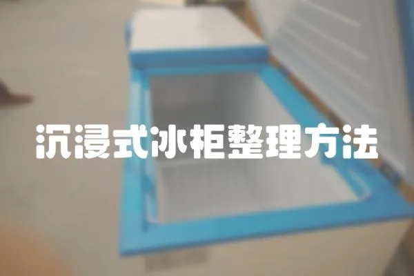 沉浸式冰柜整理方法