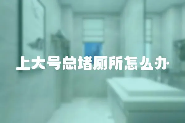 上大號總堵廁所怎么辦