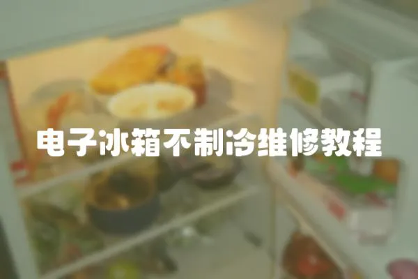 電子冰箱不制冷維修教程