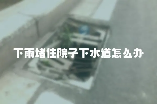 下雨堵住院子下水道怎么辦