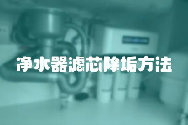 凈水器濾芯除垢方法