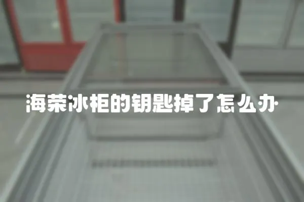 海榮冰柜的鑰匙掉了怎么辦