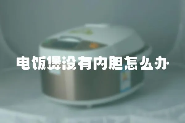 電飯煲沒有內膽怎么辦