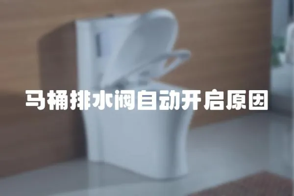 馬桶排水閥自動開啟原因