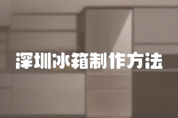 深圳冰箱制作方法