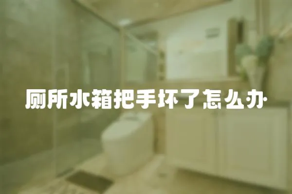 廁所水箱把手壞了怎么辦