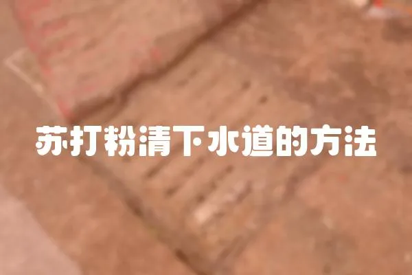 蘇打粉清下水道的方法