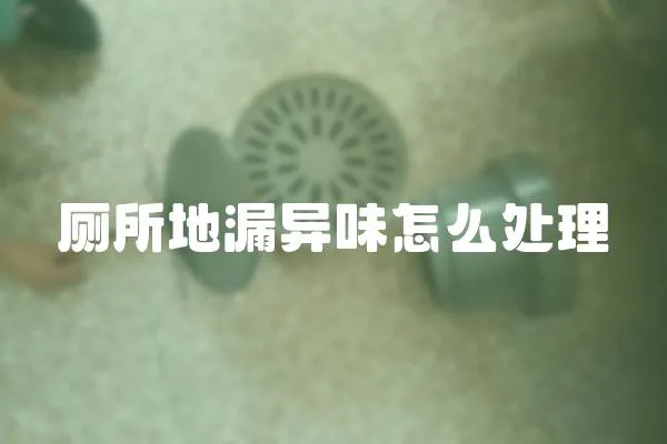廁所地漏異味怎么處理