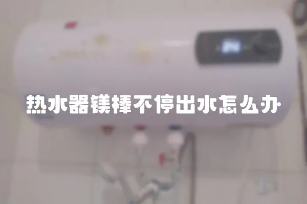 熱水器鎂棒不停出水怎么辦