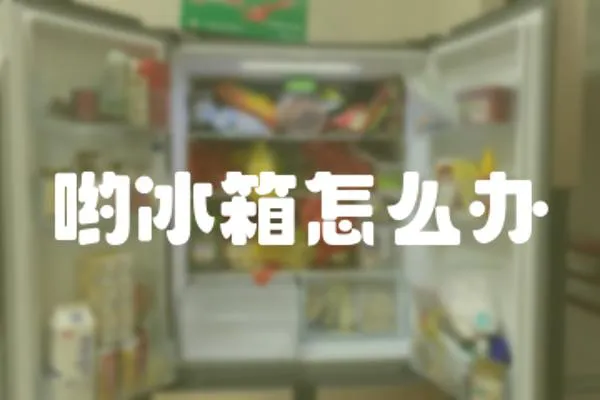 喲冰箱怎么辦