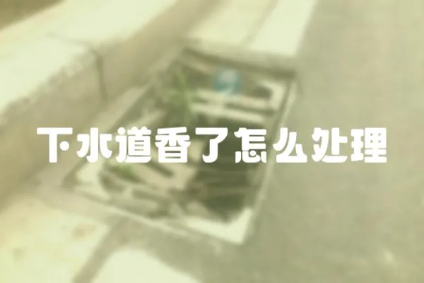 下水道香了怎么處理