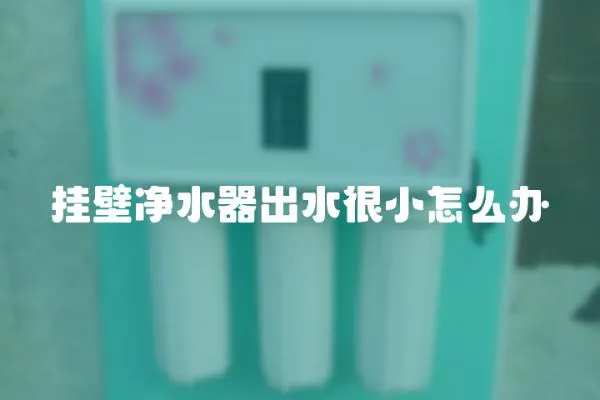 掛壁凈水器出水很小怎么辦