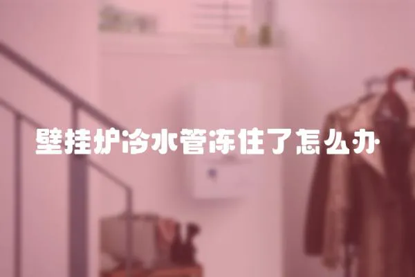 壁掛爐冷水管凍住了怎么辦