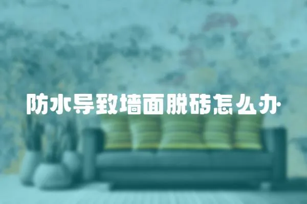 防水導致墻面脫磚怎么辦