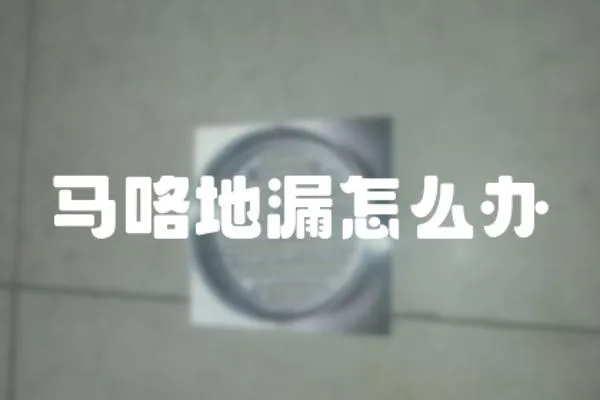 馬咯地漏怎么辦