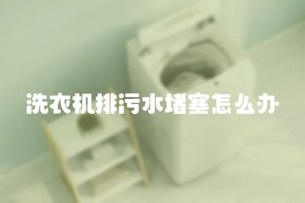 洗衣機(jī)排污水堵塞怎么辦