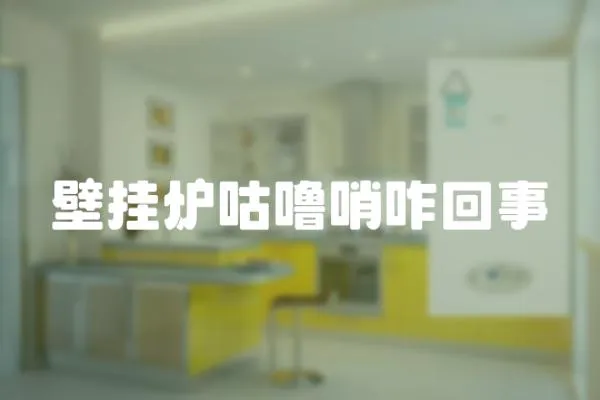 壁掛爐咕嚕哨咋回事