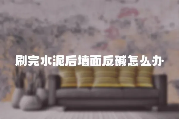 刷完水泥后墻面反堿怎么辦