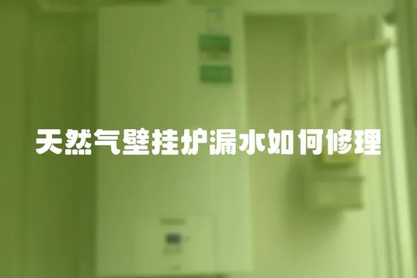 天然氣壁掛爐漏水如何修理