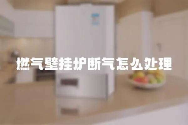 燃氣壁掛爐斷氣怎么處理
