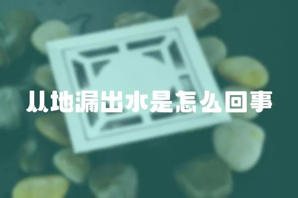 從地漏出水是怎么回事