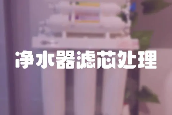 凈水器濾芯處理