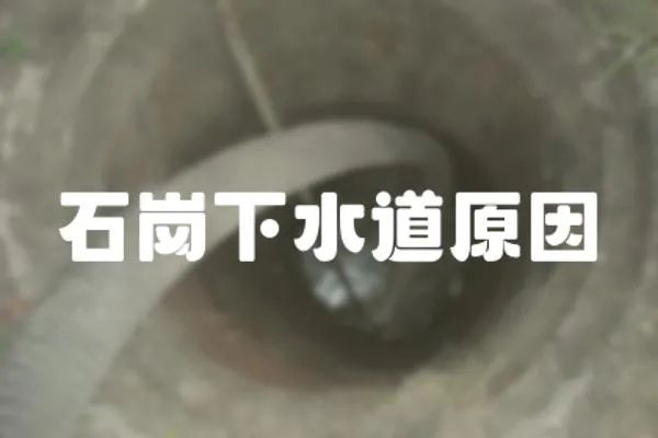 石崗下水道原因